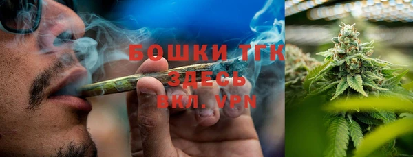 марки lsd Новозыбков