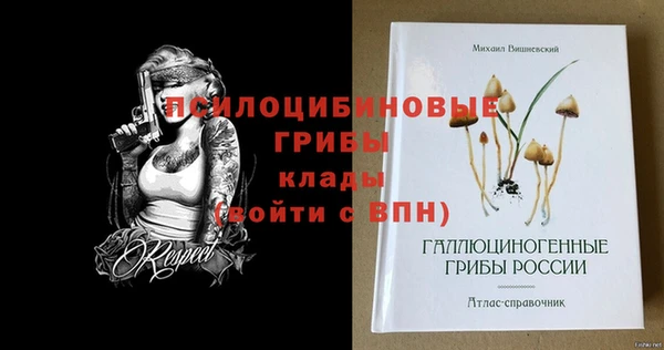 соль курить ск Няндома