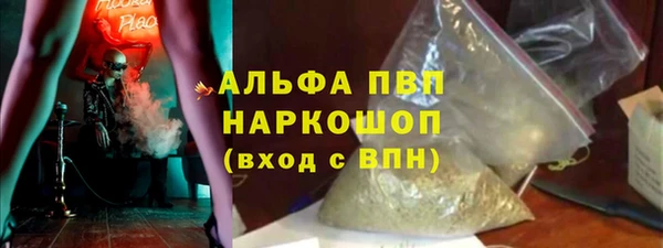 прущие грибы Нязепетровск