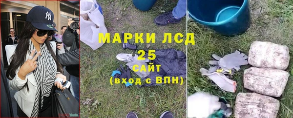 марки lsd Новозыбков