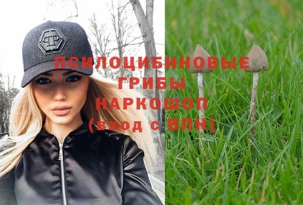 марки lsd Новозыбков