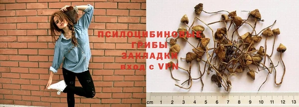 марки lsd Новозыбков