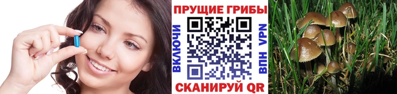 Псилоцибиновые грибы MAGIC MUSHROOMS где купить наркоту Тарко-Сале